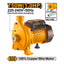 INGCO Centrifugal 750W Water Pump - CPM75068