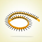 INGCO Collated Drywall Screw - ANA19251