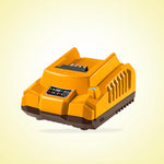 INGCO P20S Lithium-Ion Battery and Charger Kit  - FBCPK2212