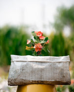 Crown-of-Thorns (Foreign)-Christ Plant/Thorn-Euphorbia milli