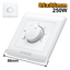 INGCO Fan Controller 250W - C120 - HESFC02501