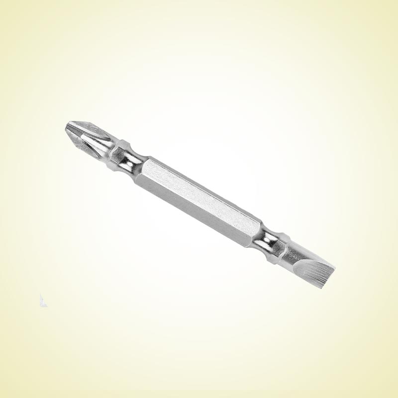 INGCO 65MM 10PCs Screwdriver Bits - SDB21HL133