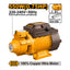 INGCO Water Pump - VPM55068